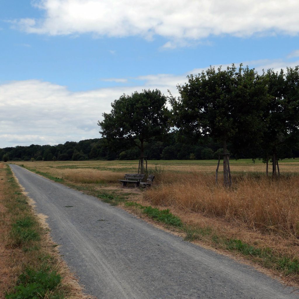 Bankengruppe in den Schwanheimer Wiesen.