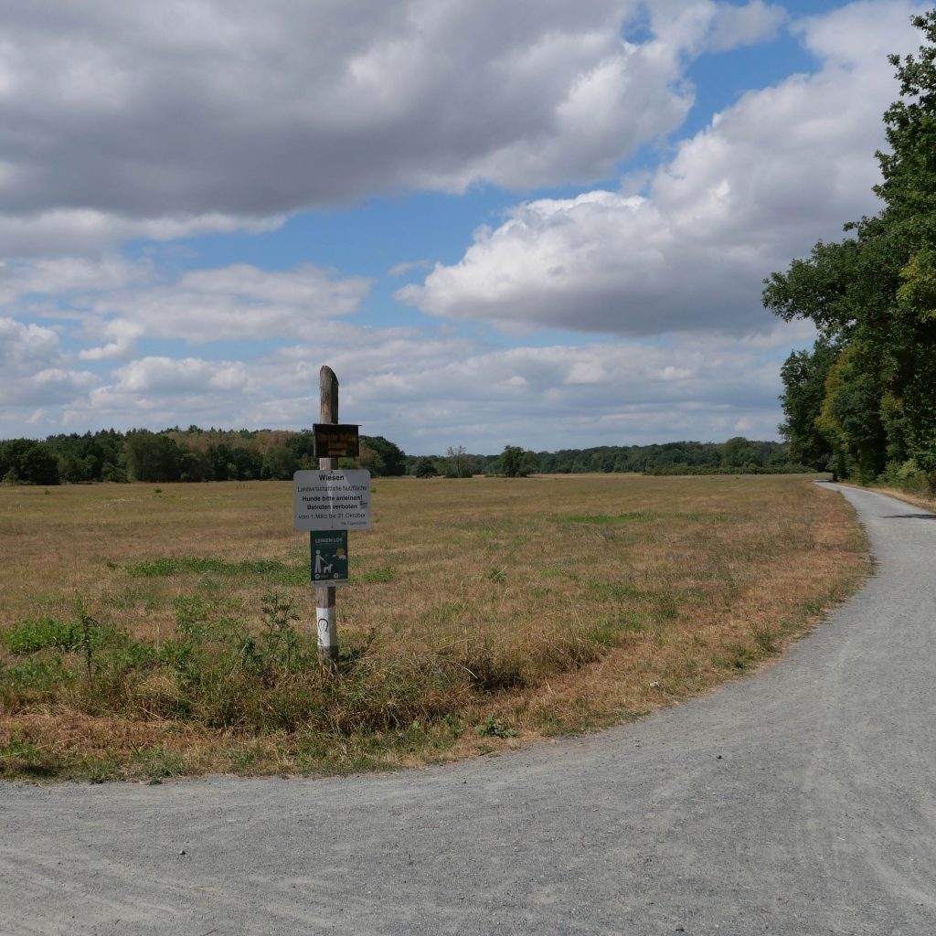 Blick auf die Schwanheimer Wiesen.